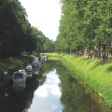 0906G 12 Lingen : haseems
